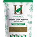 H&C Natural Bhoomi Amla Powder 100gm - Liver Detox & Digestive Support - Health N Wellness Shop