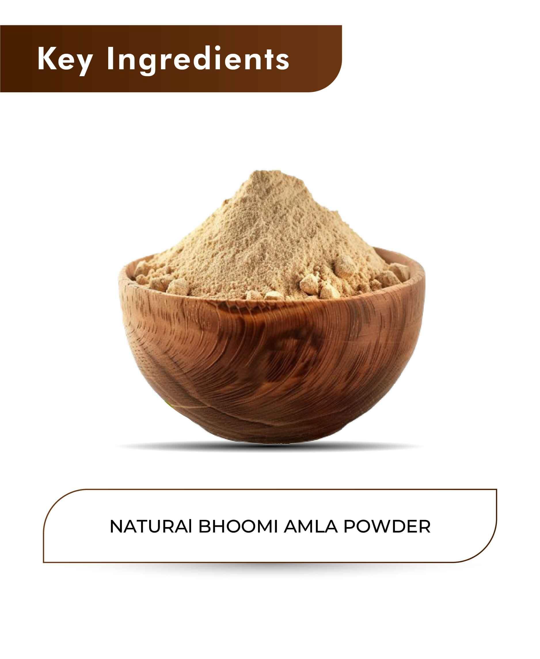 H&C Natural Bhoomi Amla Powder 100gm - Liver Detox & Digestive Support - Health N Wellness Shop