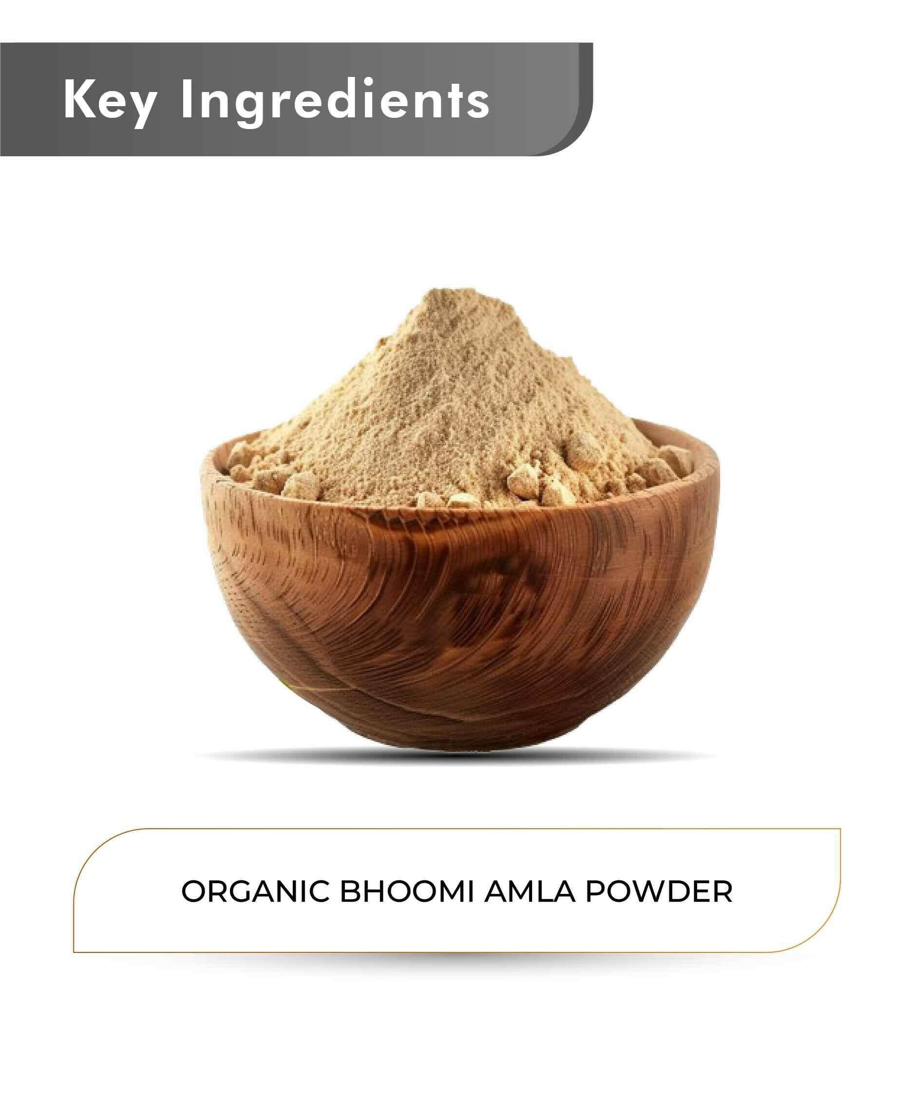Just Jaivik Organic Bhoomi Amla Powder 100gm - Liver & Skin Health - Health N Wellness Shop