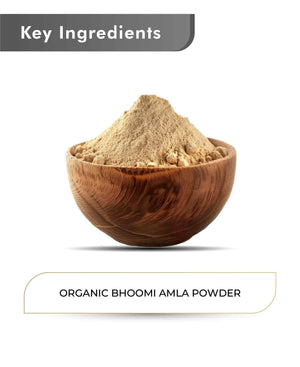 Just Jaivik Organic Bhoomi Amla Powder 100gm - Liver & Skin Health - Health N Wellness Shop