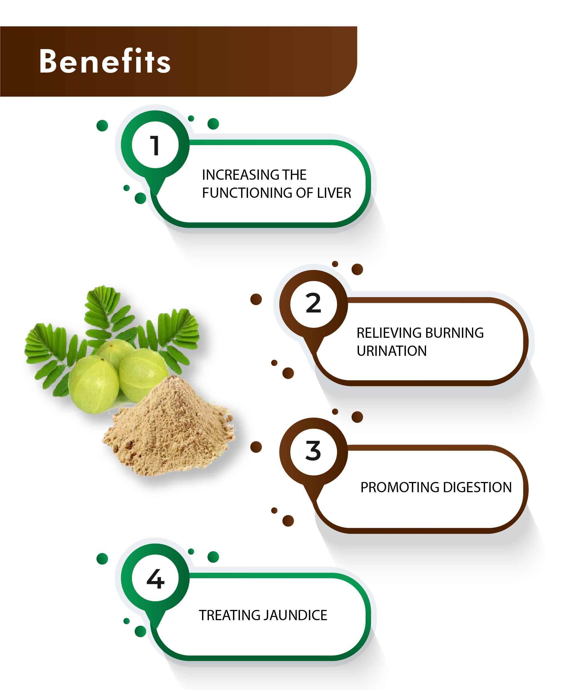 H&C Natural Bhoomi Amla Tablet 100gm - Immunity & Detox Support - Health N Wellness Shop
