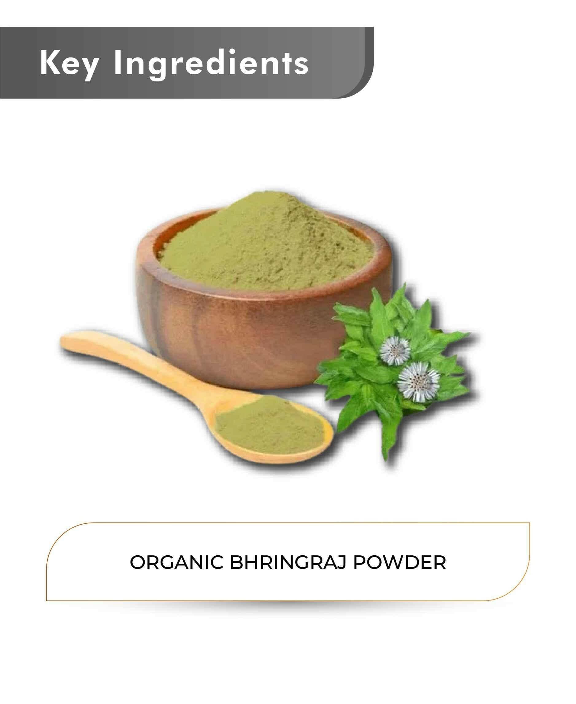 Just Jaivik Organic Bhringraj Powder 100gm - Hair Growth - Health N Wellness Shop