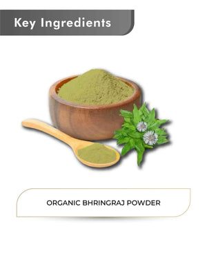 Just Jaivik Organic Bhringraj Powder 100gm - Hair Growth - Health N Wellness Shop