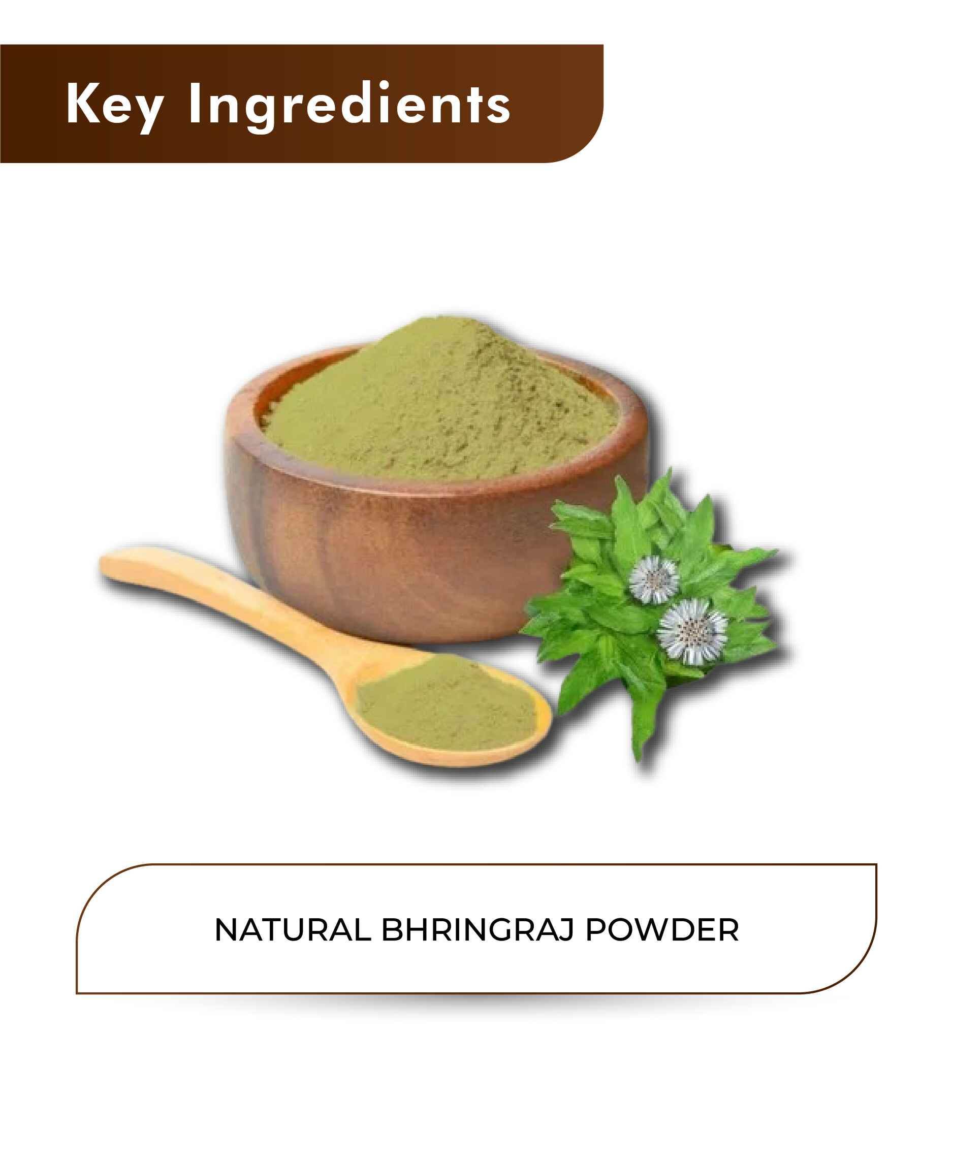 H&C Natural Bhringraj Powder 100gm - Promotes Hair Growth & Reduces Hair Fall - Health N Wellness Shop