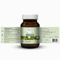 Just Jaivik Organic Brahmi Tablets for Memory & Mental Clarity | Ayurvedic Brain Tonic - Health N Wellness Shop