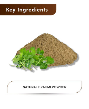 H&C Natural Brahmi Powder 100gm - Memory & Focus Booster - Health N Wellness Shop