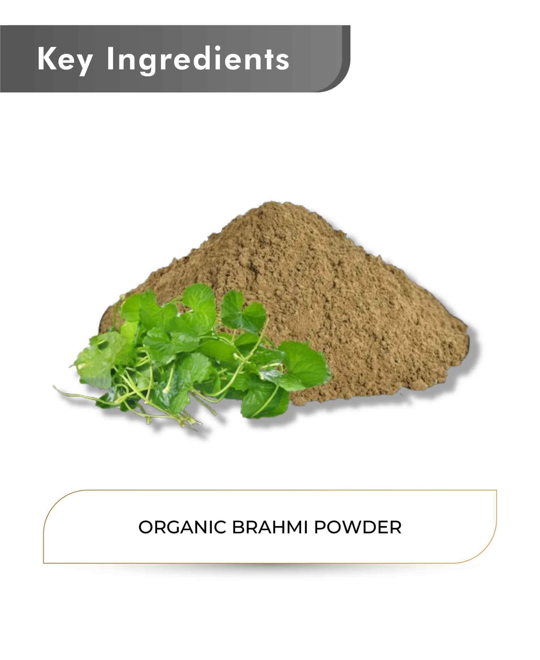 Just Jaivik Organic Brahmi Powder 100gm - Memory & Focus - Health N Wellness Shop