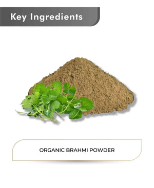 Just Jaivik Organic Brahmi Powder 100gm - Memory & Focus - Health N Wellness Shop
