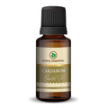 Korus Essential Cardamom Oil - 15ml - Health N Wellness Shop