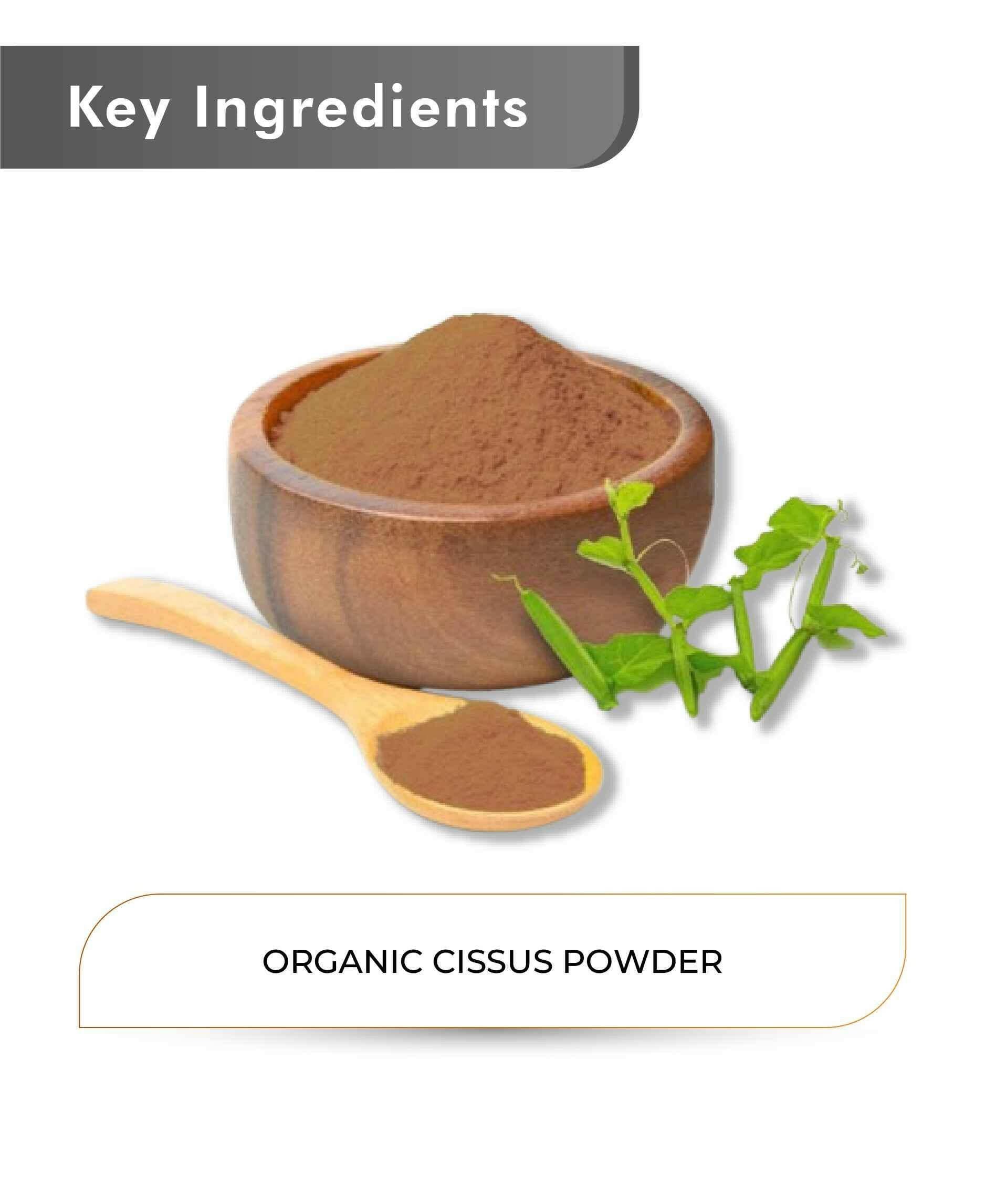 Just Jaivik Organic Cissus Powder 100gm - Joint & Bone Support - Health N Wellness Shop