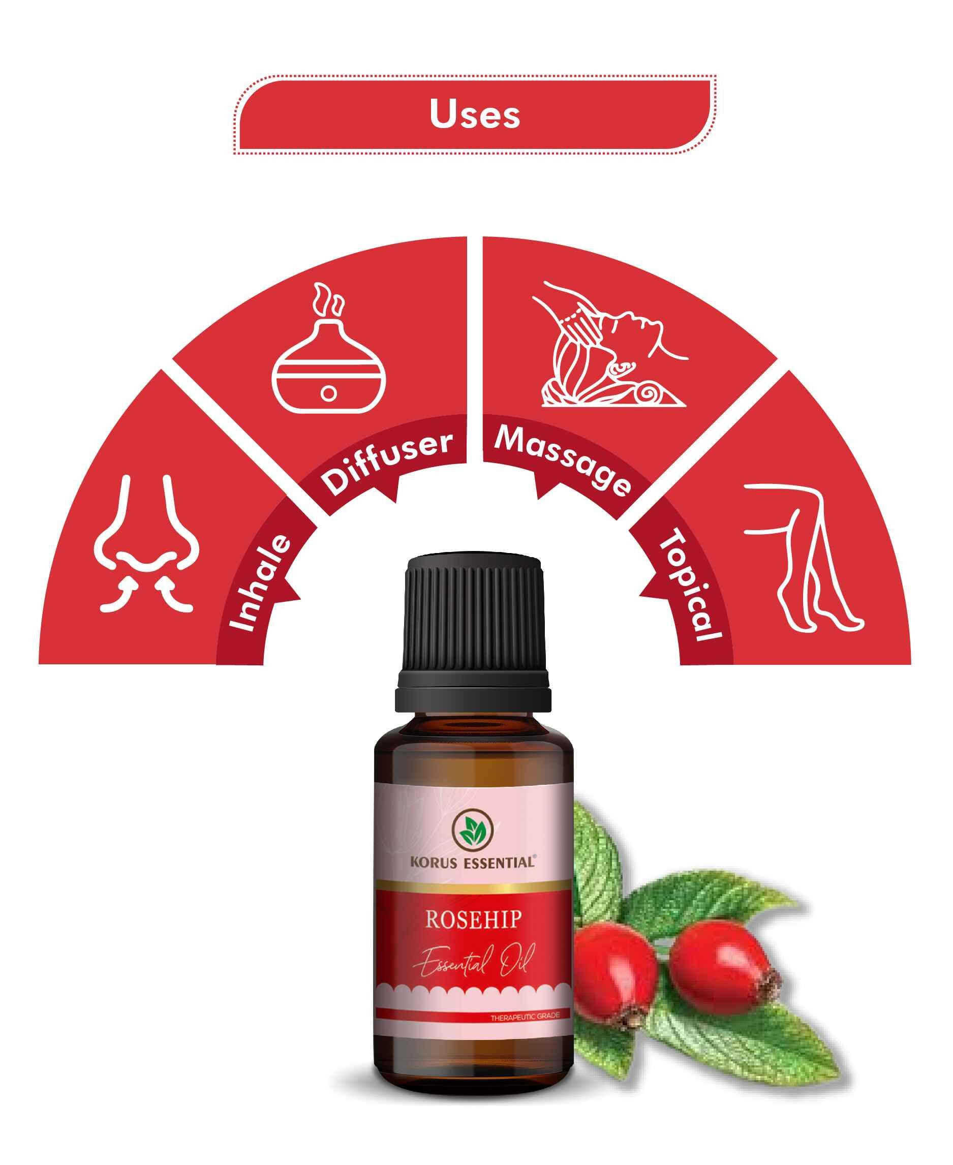 Korus Essential Rosehip Oil - Therapeutic Grade for Skin Hydration, Anti - Aging & Scar Treatment - Health N Wellness Shop