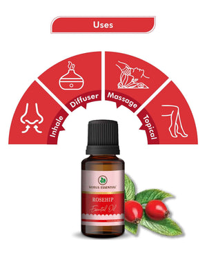 Korus Essential Rosehip Oil - Therapeutic Grade for Skin Hydration, Anti - Aging & Scar Treatment - Health N Wellness Shop