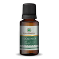 Korus Essential Eucalyptus (Nilgiri) Oil for Respiratory & Relaxation - Health N Wellness Shop