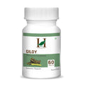 H&C Natural Guduchi (Giloy) Tablet 60 Count - Immunity & Vitality Support - Health N Wellness Shop