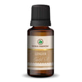 Korus Essential Ginger Oil - 15ml - Health N Wellness Shop