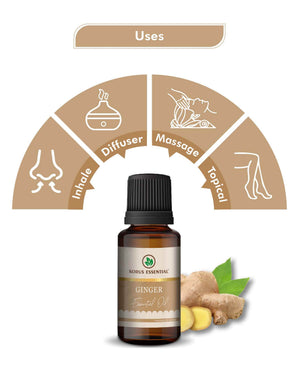 Korus Essential Ginger Oil - 15ml - Health N Wellness Shop