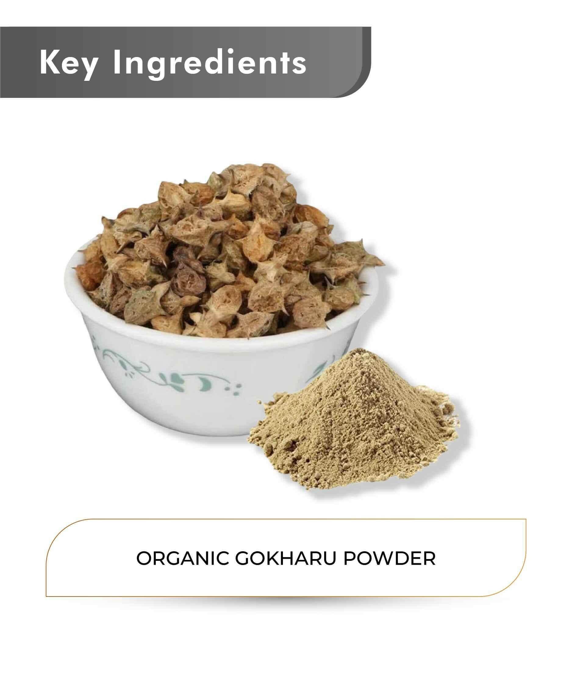 Just Jaivik Organic Gokharu Powder 100gm - Energy & Vitality - Health N Wellness Shop