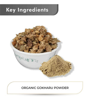 Just Jaivik Organic Gokharu Powder 100gm - Energy & Vitality - Health N Wellness Shop
