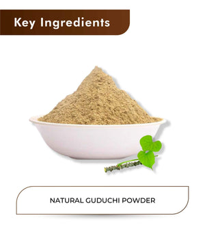 H&C Natural Guduchi Powder 100gm - Immunity & Vitality Booster - Health N Wellness Shop