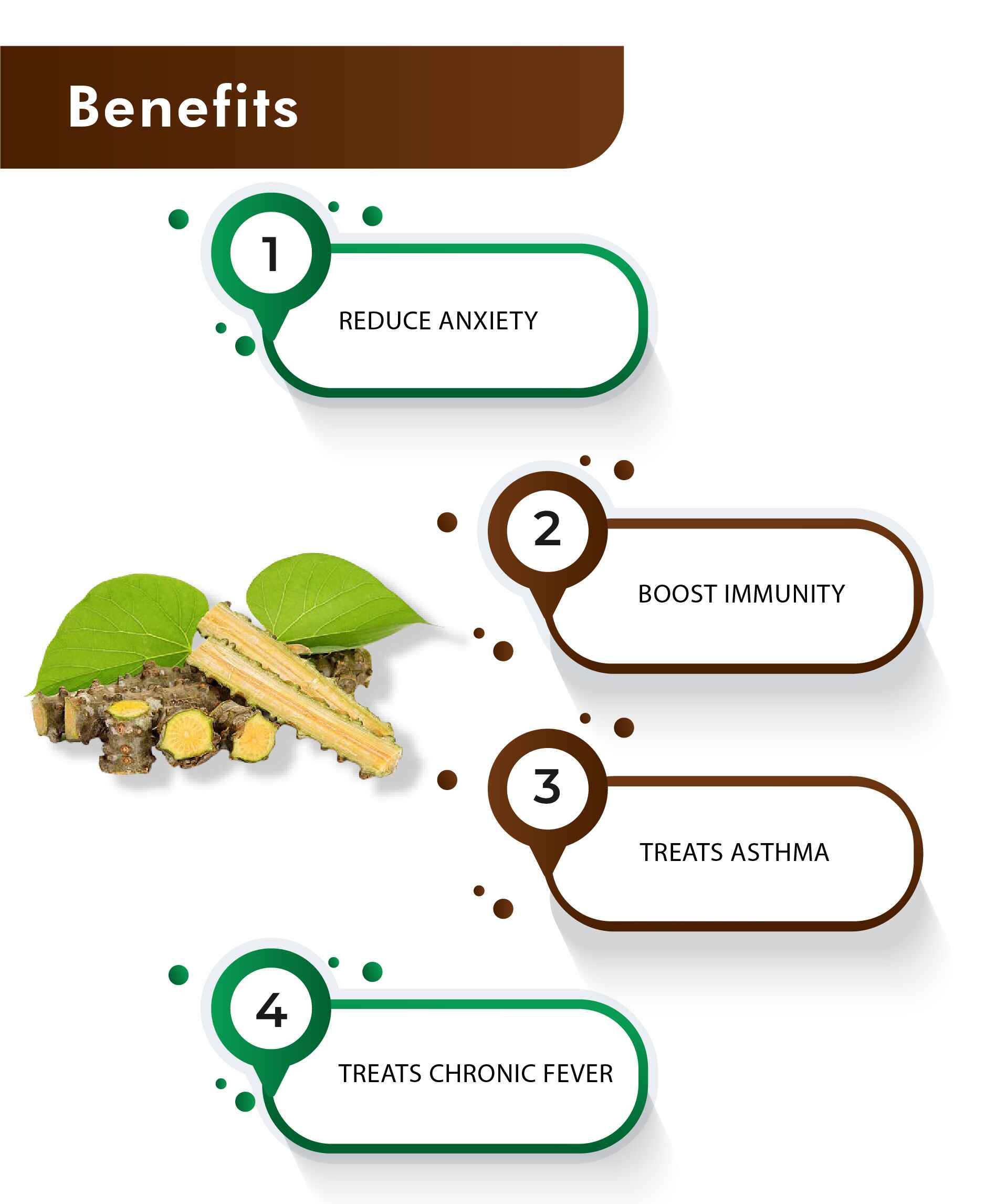 H&C Natural Guduchi Powder 100gm - Immunity & Vitality Booster - Health N Wellness Shop