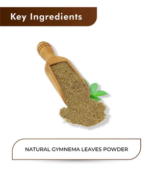 H&C Natural Gymnema Sylvestre Powder 100gm - Blood Sugar Balance & Metabolism Support - Health N Wellness Shop