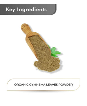 Just Jaivik Organic Gymnema Powder 100gm - Sugar Destroyer - Health N Wellness Shop