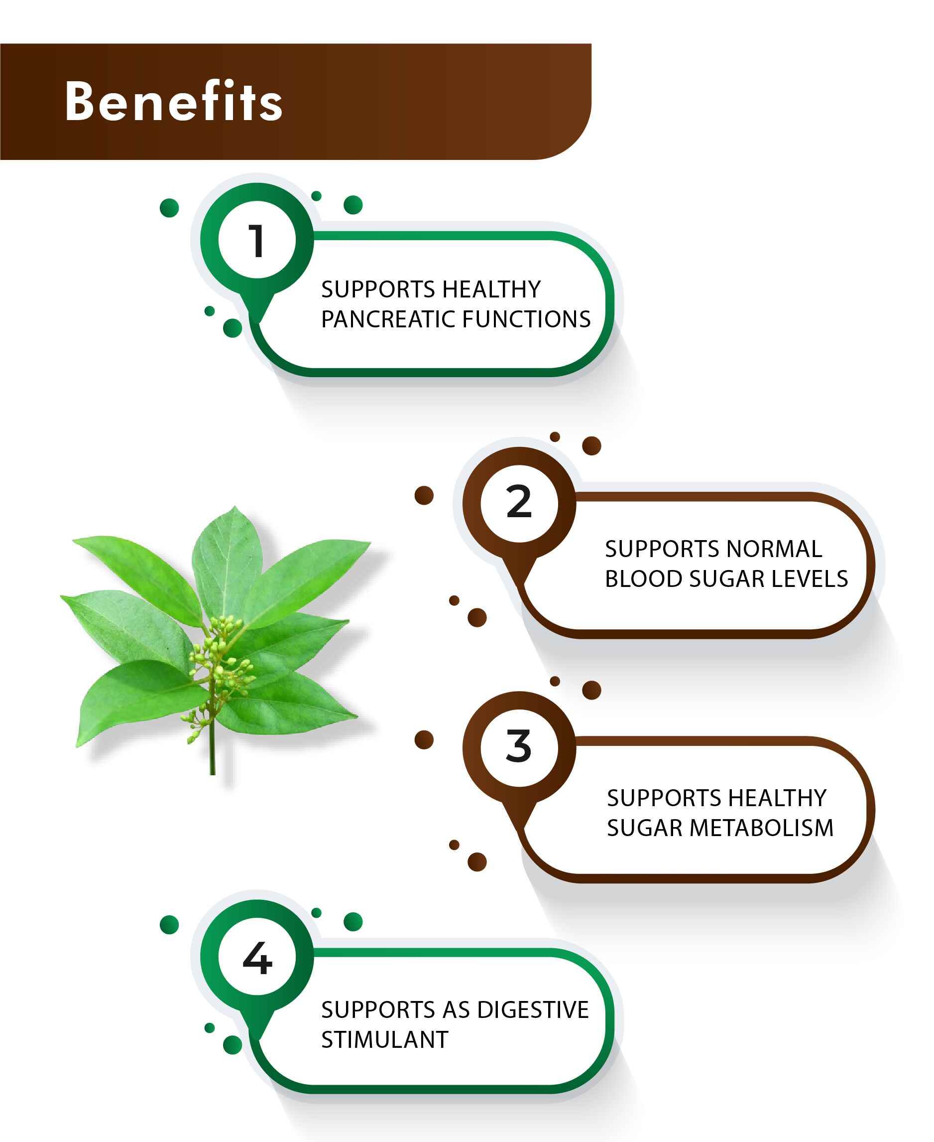 H&C Natural Gymnema Sylvestre Powder 100gm - Blood Sugar Balance & Metabolism Support - Health N Wellness Shop