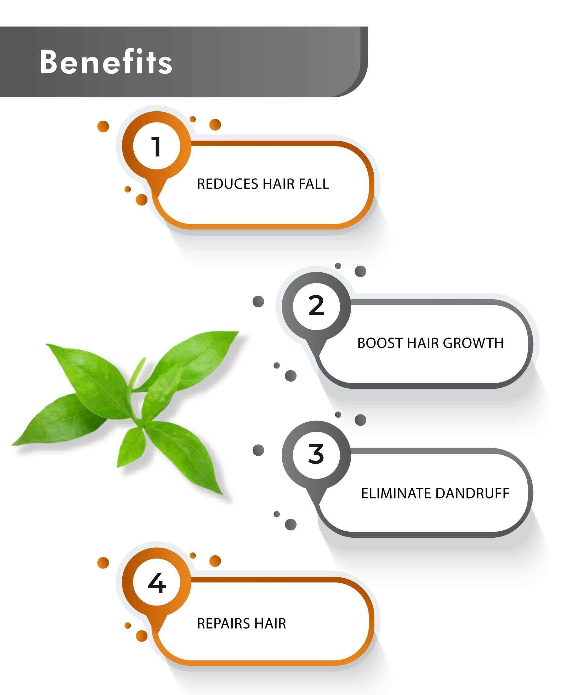 Just Jaivik Organic Henna Powder 100gm - Natural Hair Color - Health N Wellness Shop