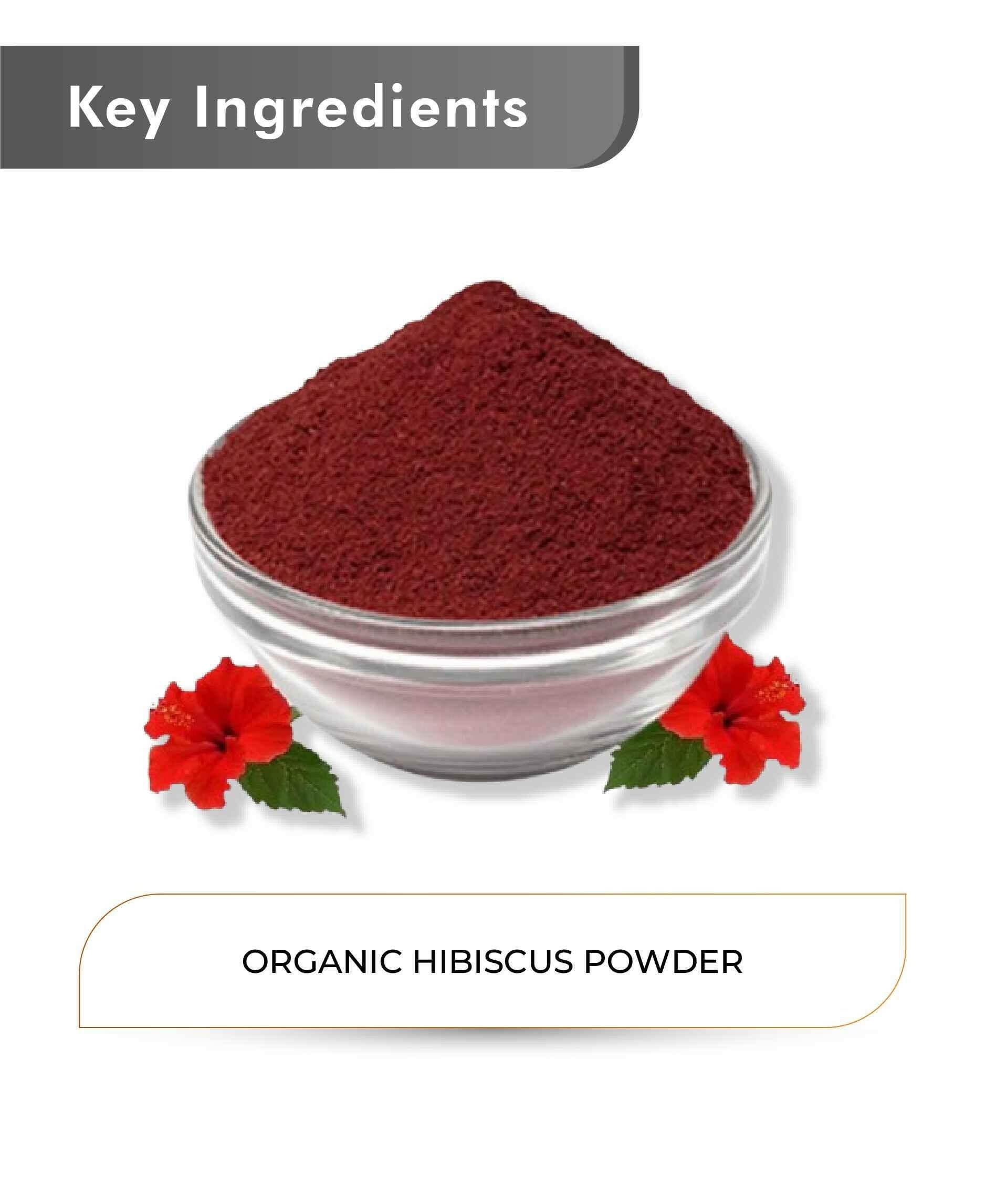 Just Jaivik Organic Hibiscus Powder 100gm - Hair Growth & Glowing Skin - Health N Wellness Shop