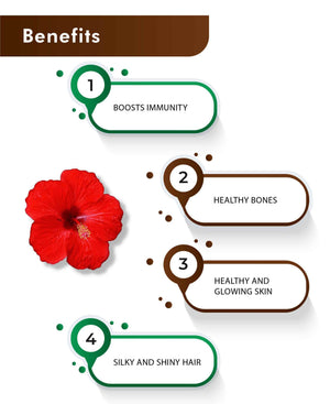 H&C Natural Hibiscus Powder 100gm - Hair & Skin - Health N Wellness Shop