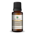Korus Essential Jasmine Oil: Pure, Aromatic & Skin - Loving Wellness - Health N Wellness Shop