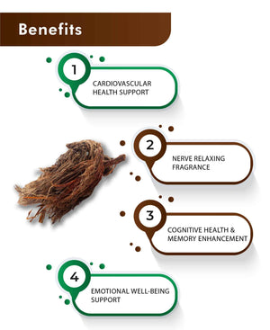 H&C Natural Jatamansi Powder 100gm - Stress Relief & Hair Growth - Health N Wellness Shop