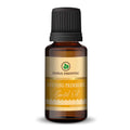 Korus Essential Pure Evening Primrose Oil – Natural Skin Hydration & Hormonal Health Support - Health N Wellness Shop