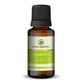Korus Essential Spearmint Oil – 100% Pure Therapeutic Grade Natural Mint Oil for Aromatherapy, Skin, and Digestive Wellness - Health N Wellness Shop