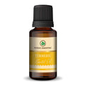 Korus Essential Turmeric Oil – Pure & Potent Wellness - Health N Wellness Shop