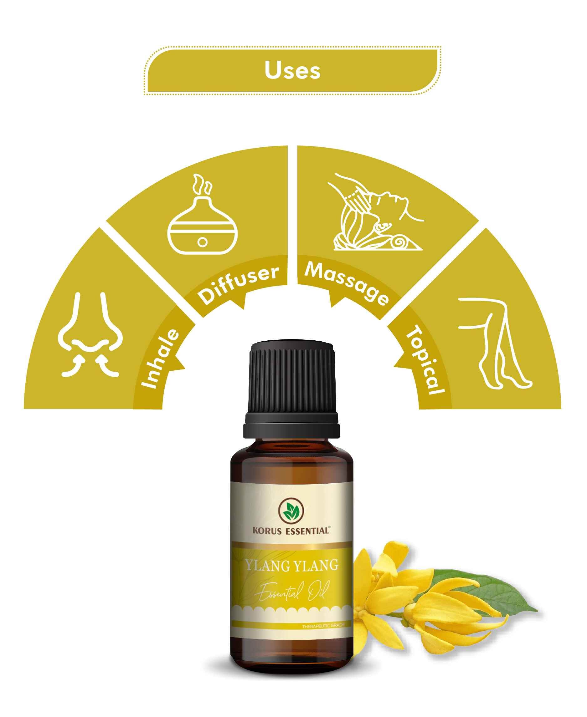 Korus Essential Ylang Ylang Oil – Relax Naturally with Health N Wellness Shop - Health N Wellness Shop