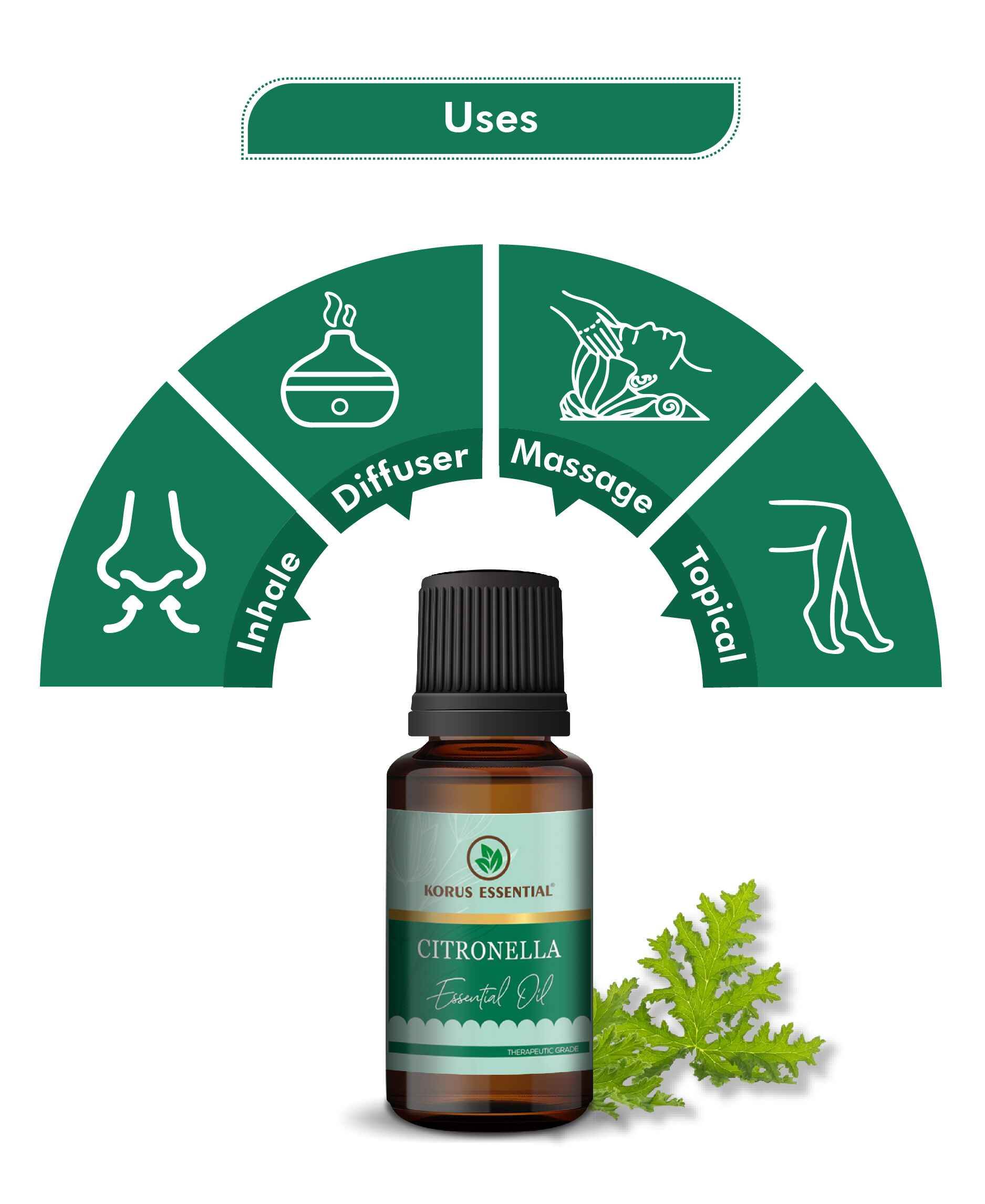 Korus Essential Citronella Oil – 100% Pure & Natural Essential Oil - Health N Wellness Shop