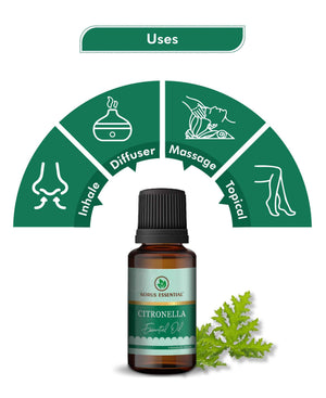 Korus Essential Citronella Oil – 100% Pure & Natural Essential Oil - Health N Wellness Shop