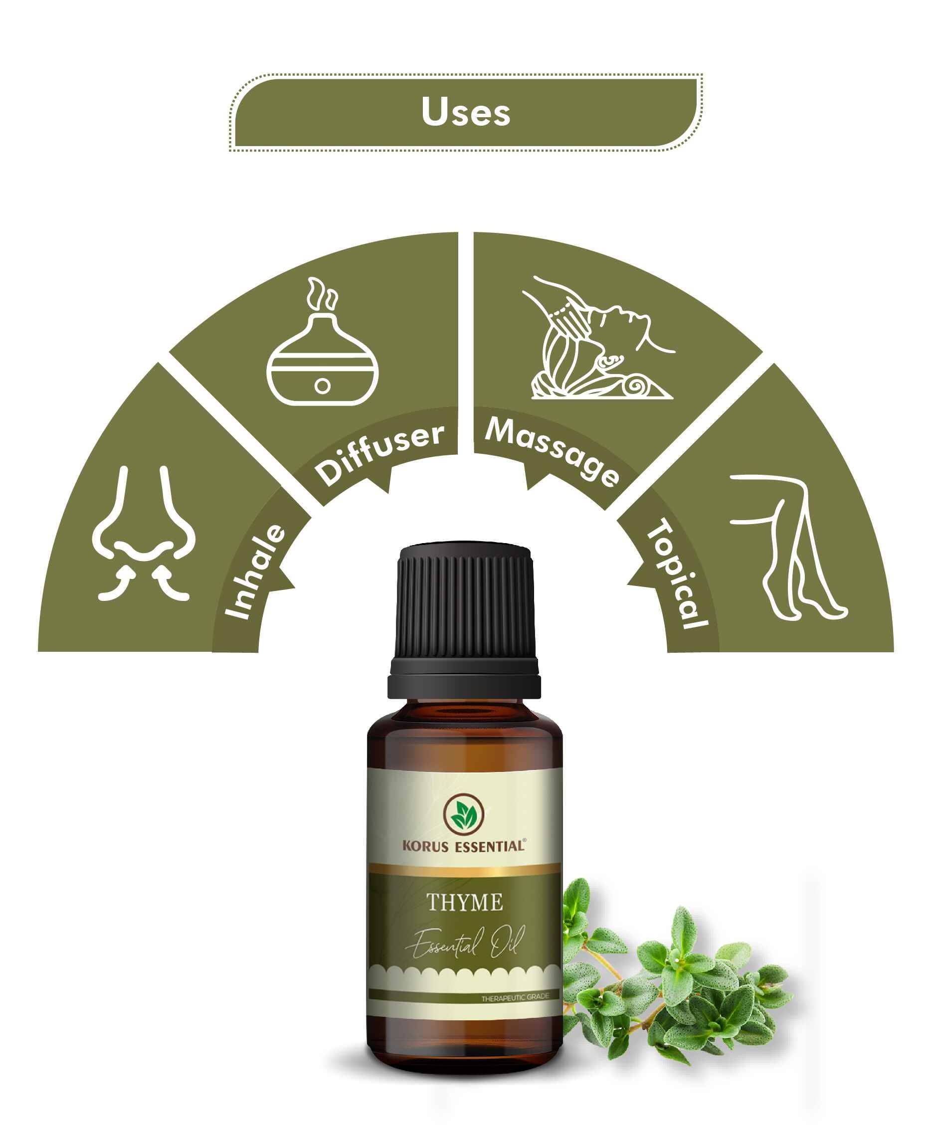 Korus Essential Thyme Oil – Pure & Natural Wellness Oil - Health N Wellness Shop