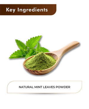 H&C Natural Mint Leaves Powder 100gm - Cooling Relief for Skin & Scalp - Health N Wellness Shop