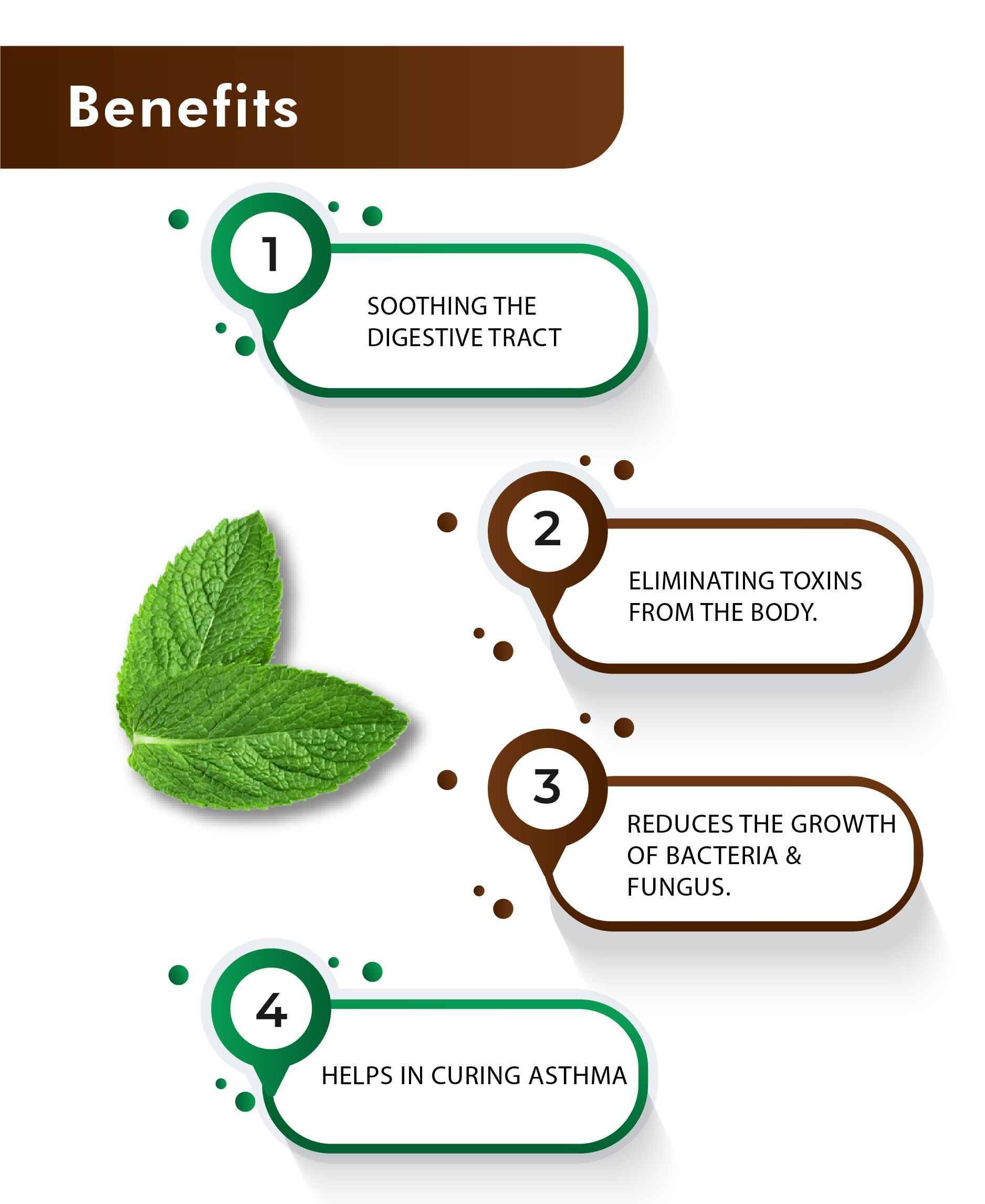 H&C Natural Mint Leaves Powder 100gm - Cooling Relief for Skin & Scalp - Health N Wellness Shop
