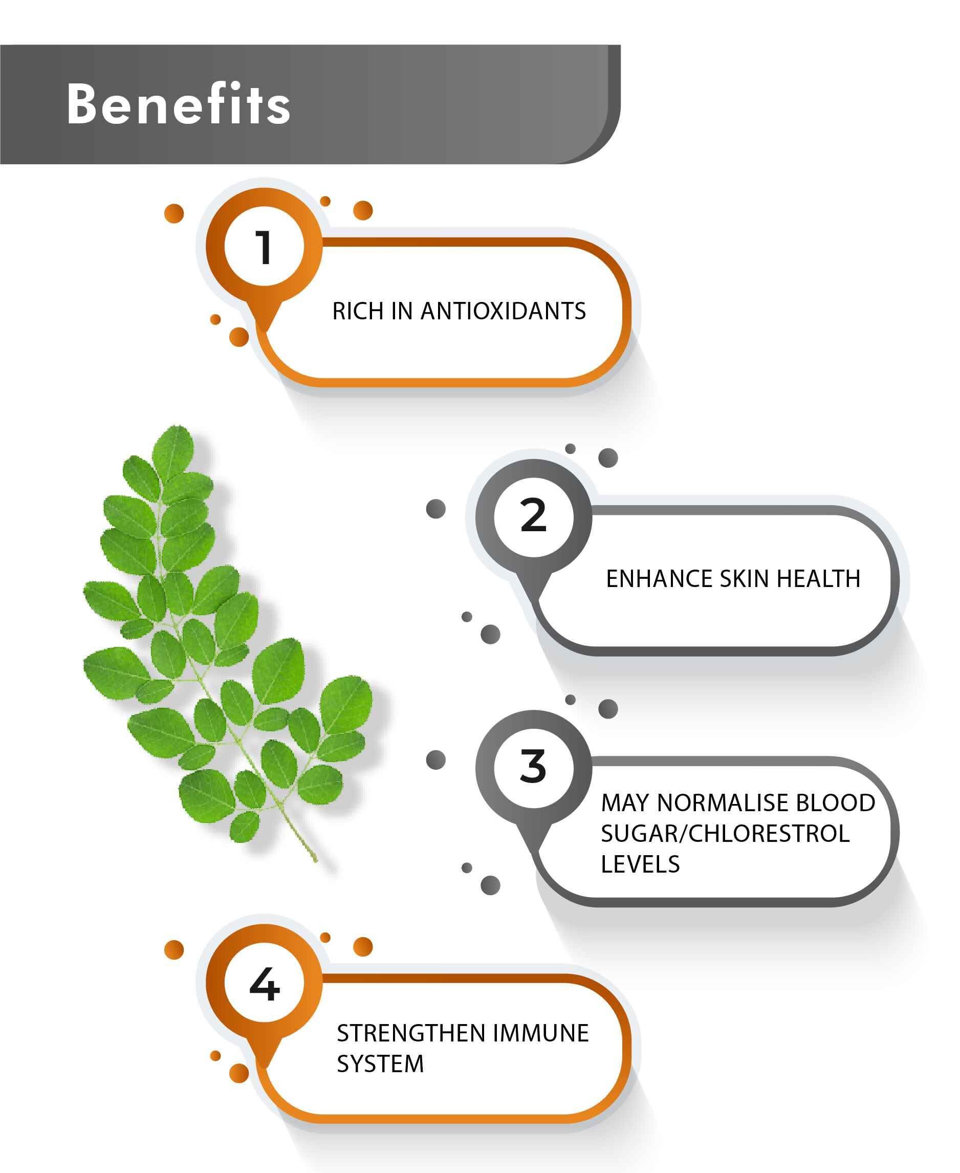 Just Jaivik Organic Moringa Tablets – Natural Superfood for Immunity, Energy, and Wellness - Health N Wellness Shop