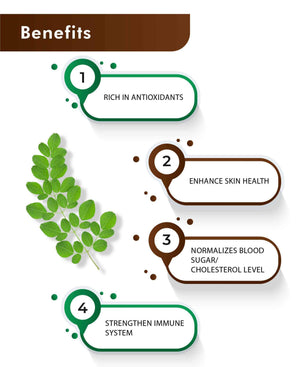 H&C Natural Moringa Leaves Powder 100gm - Complete Nutrition & Vitality - Health N Wellness Shop