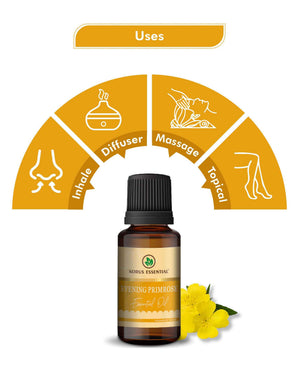 Korus Essential Pure Evening Primrose Oil – Natural Skin Hydration & Hormonal Health Support - Health N Wellness Shop