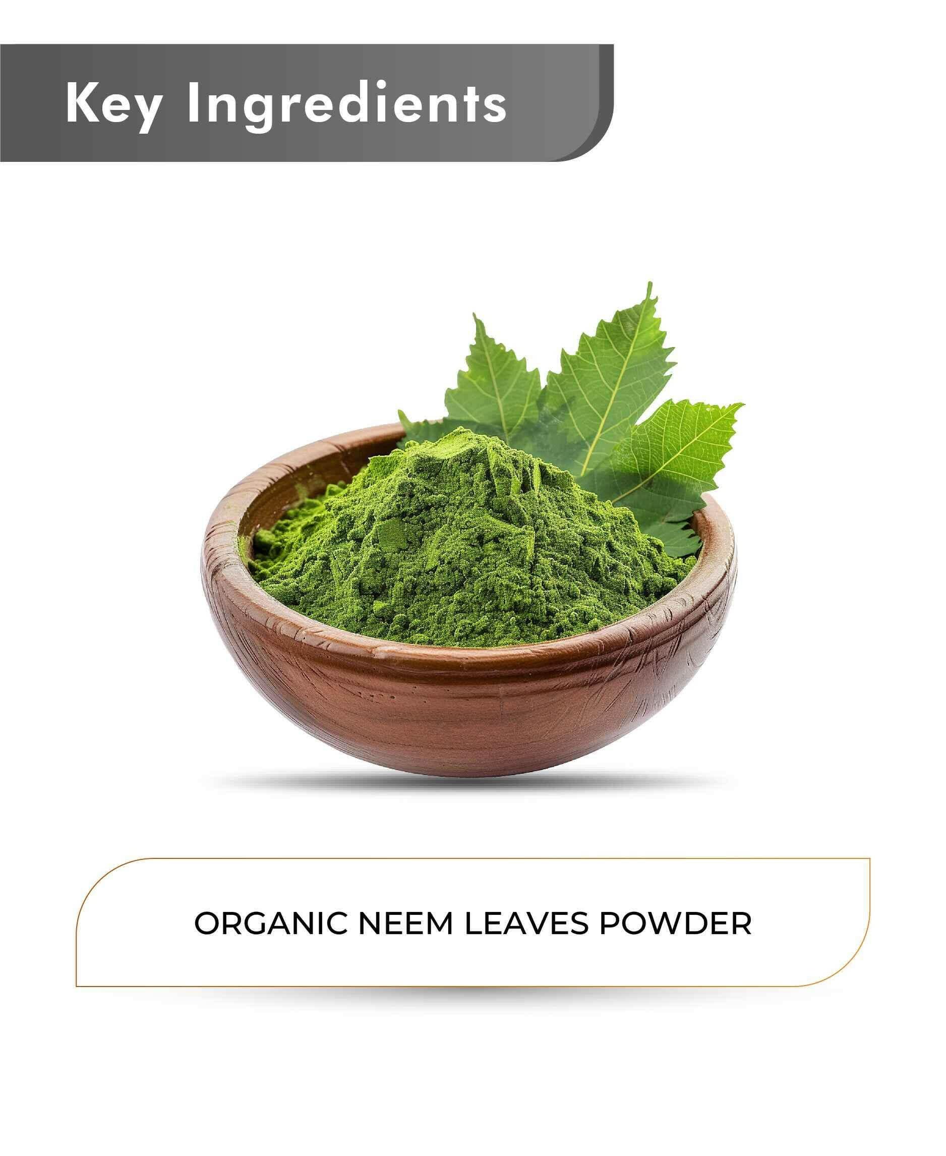 Just Jaivik Organic Neem Powder 100g - Skin & Immunity - Health N Wellness Shop