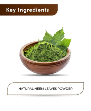 H&C Natural Neem Powder 100gm - Antibacterial Skin & Hair Care - Health N Wellness Shop
