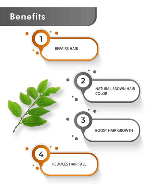Just Jaivik Organic Neutral Henna Powder 100gm - Chemical - Free Hair Care - Health N Wellness Shop