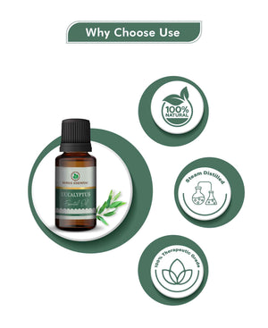 Korus Essential Eucalyptus (Nilgiri) Oil for Respiratory & Relaxation - Health N Wellness Shop