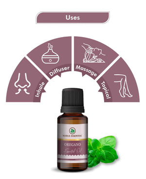 Korus Essential Oregano Oil – Pure, Potent & Natural Wellness Support - Health N Wellness Shop