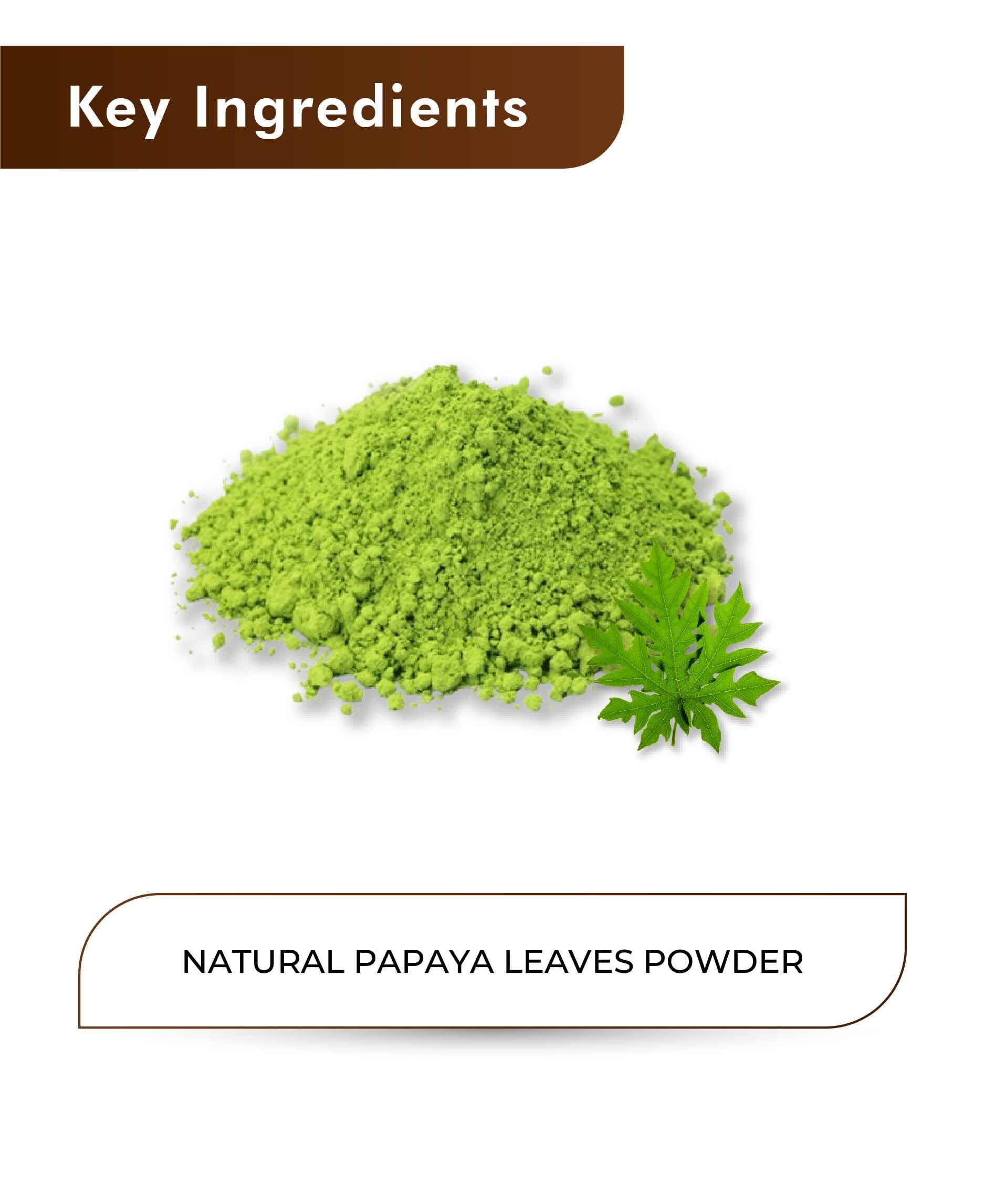 H&C Natural Papaya Leaves Powder 100gm - Digestive Wellness & Platelet Support - Health N Wellness Shop